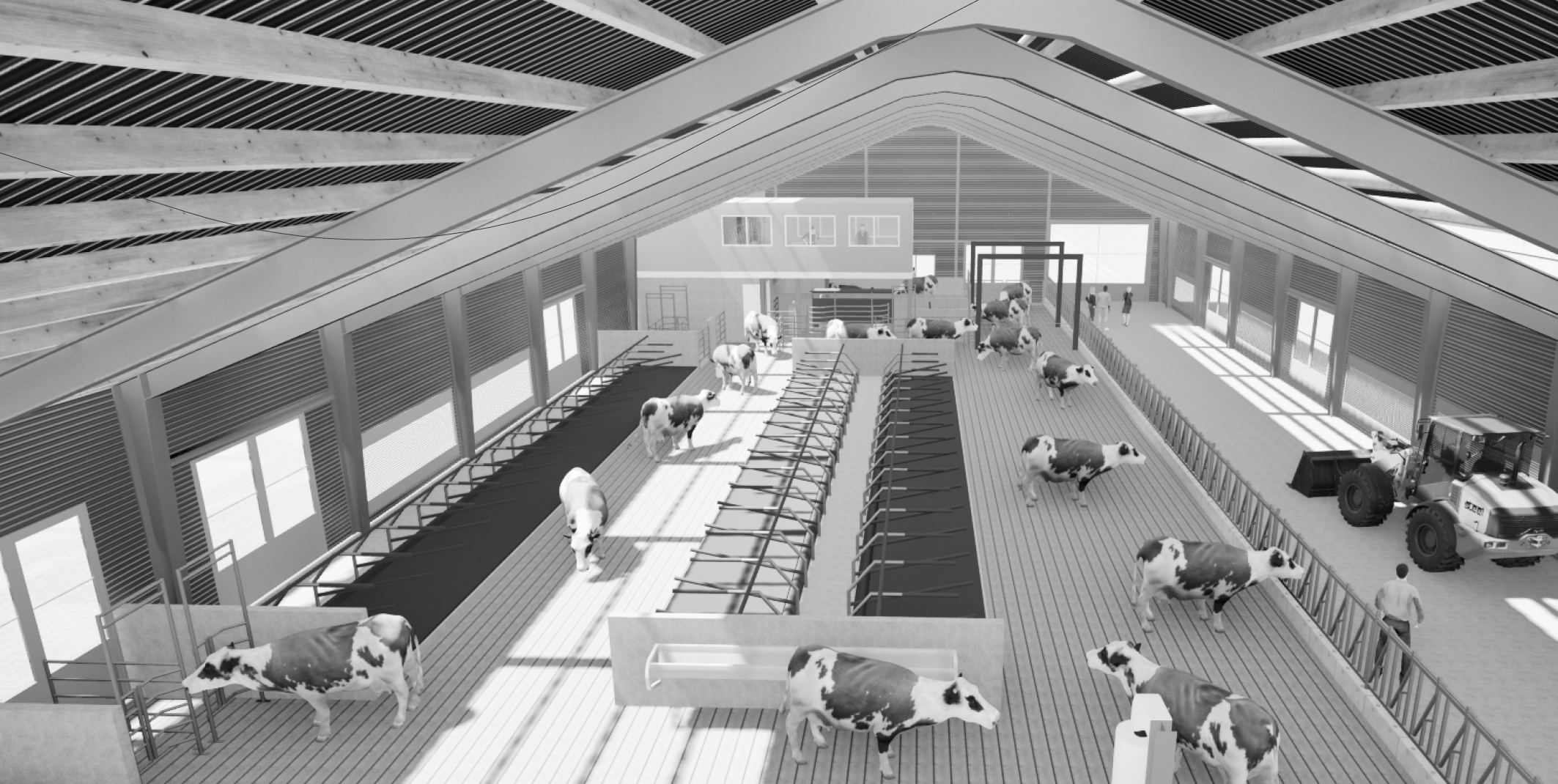Barn Design & Consulting