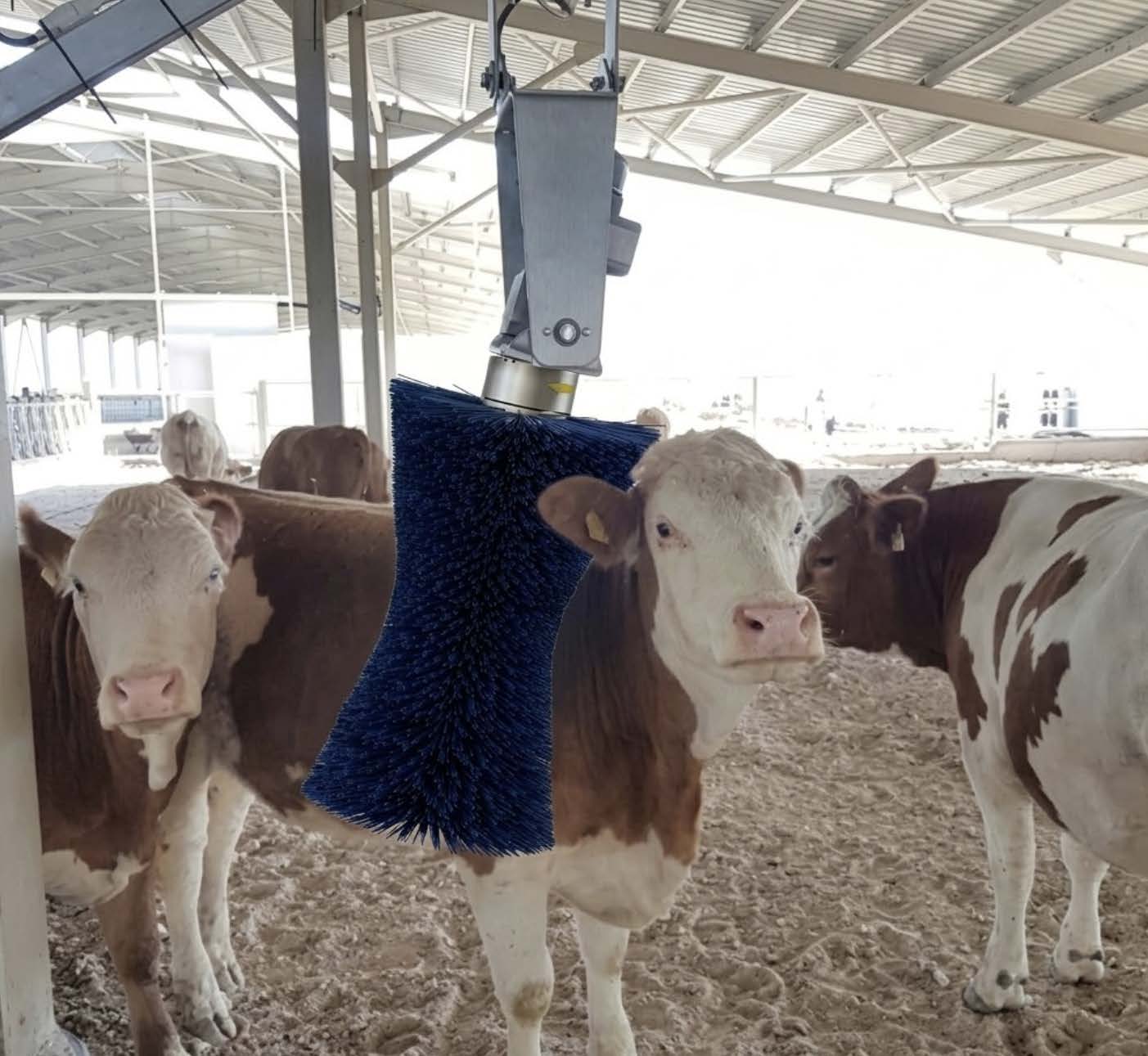 Cowbrush Relieve