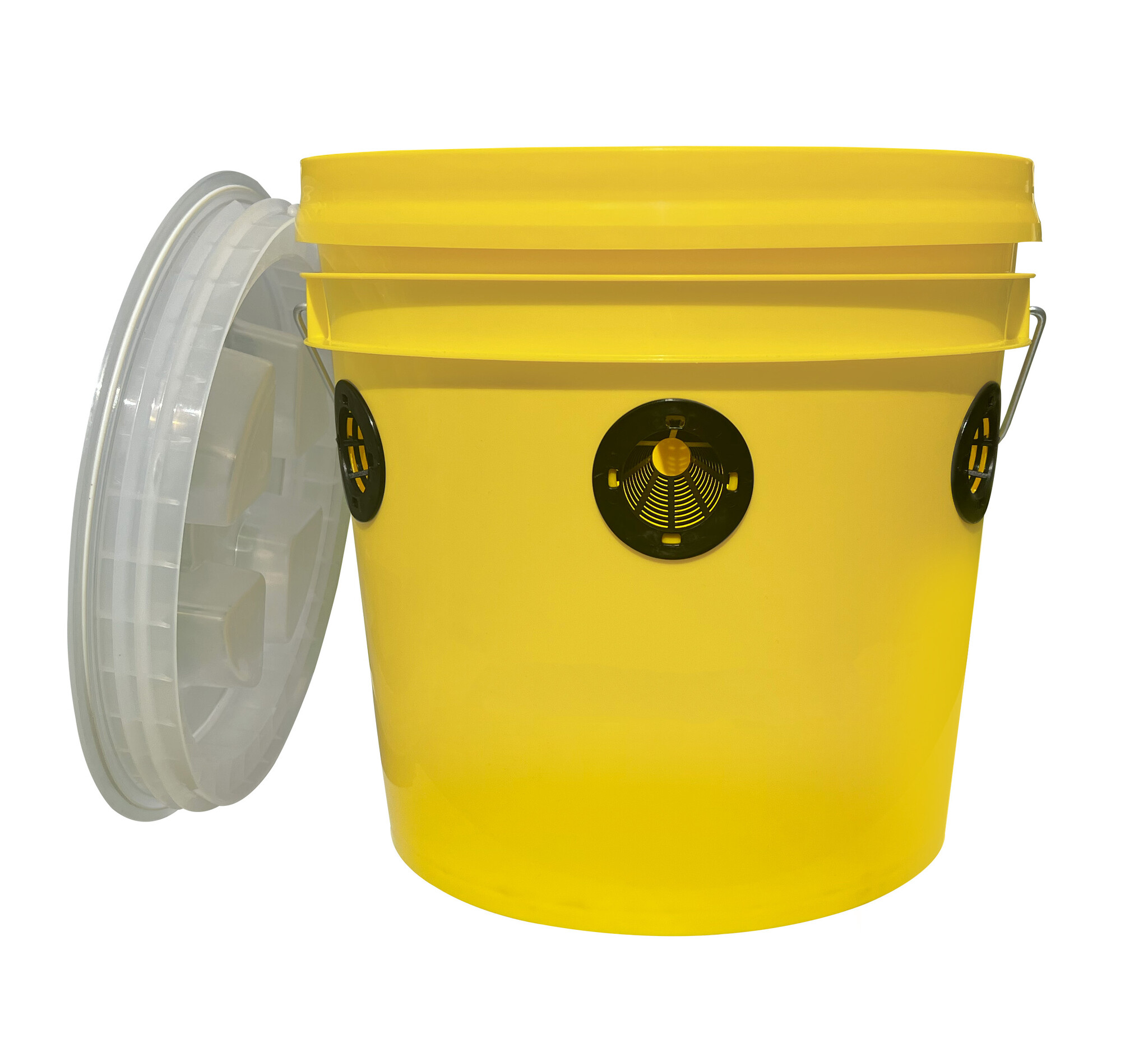 Fly Trap (+ Attractant)