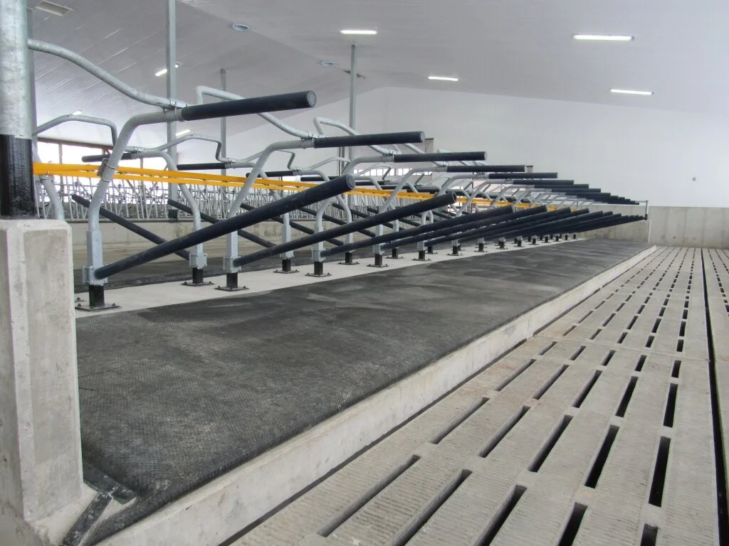 Japanese cows rest comfortable & safe in new barn