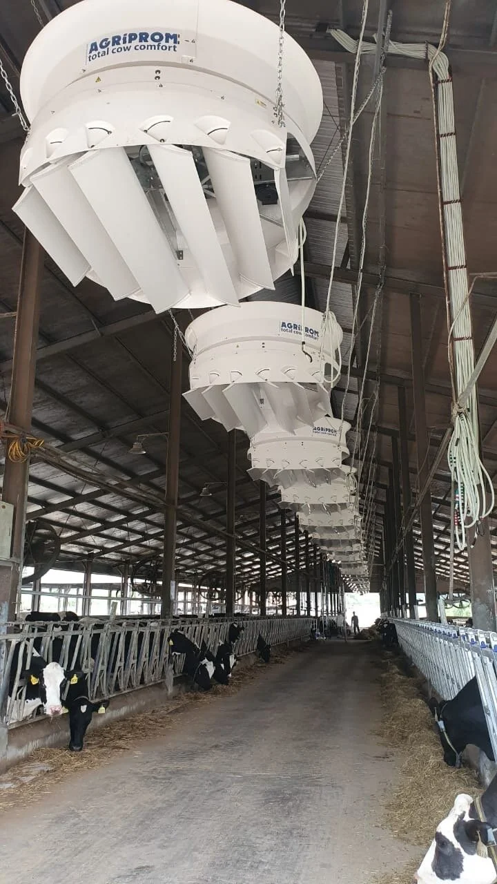 High milk yields even at high temperatures. Prevent heat stress!
