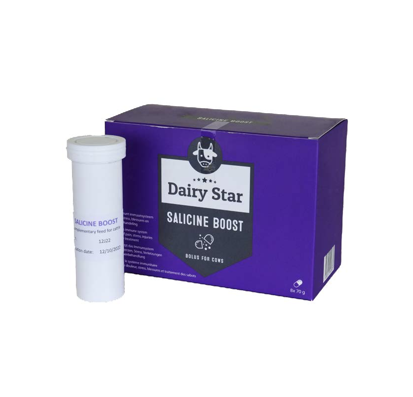 Dairy Star Salicine Boost Bolus